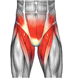 Pubalgia